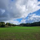 늘봄다방 이미지