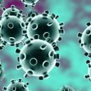 명보수산 이미지