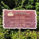장동초등학교 이미지