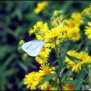 해여림식물원 이미지