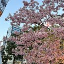 (주) 천지관광 | 오사카 근교 소도시 여행 긴테츠 레일패스 후기 오사카에서 나라 가는법 교토 나고야 미에 가는법