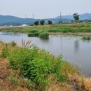 내강리 강촌 이미지