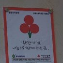 솔향오리농원 이미지