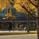 소로3-153 | 인천 맞춤정장 발리오소 예복 대여후기 (내돈내산 지인할인 꿀팁)