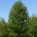 (주)미류가 이미지