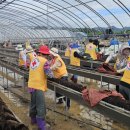 한빈농장 이미지