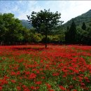 토월주유소 이미지