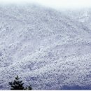 설국 - 서초구 서초중앙로24길 3 | 설국