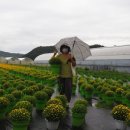 축현1리 이미지