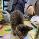 GS25 미남역점 이미지