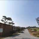 둔포면 아산밸리남로 이미지