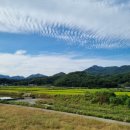 목도주민센터 앞 이미지