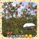 도원아드레따레어린이집 이미지