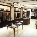 더샤인글로벌 이미지