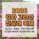 문화광장진입도로 황금개나리길 | 2026 고려산 진달래축제 코스·포토스팟·주차 총정리 — 놓치면 내년을 기다려야 할 9일