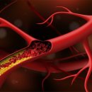 랩바이오 이미지