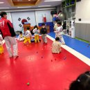 현촌 용인대 청룡태권도장 이미지