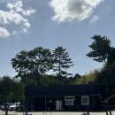 [충남 당진] 캠핑장 추천! 푸르미르 관광농원 후기 (차박, 애견동반 가능!)