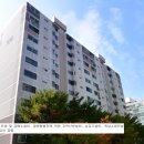권선동 Daum카페