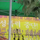 노찾사노래연습장 | 한밤의 꿈은 아니리, 바위처럼 - 일본군위안부 할머님들과 함께 한 제878차 수요집회 후기