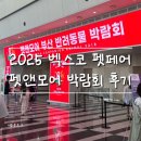 펫앤쇼핑 | 2025 벡스코 펫페어 펫앤모어 후기 🐶 시우 달봉 빤짝이 간식 사러 다녀왔다!