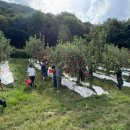 마일농장 이미지