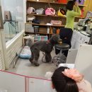 정운마트 이미지