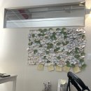 펫브릿지 | 펫브리지에서 마루 보내준 후기