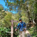 물안개피는마을 | 국립공원 오제습지 트레킹 후기 [3] 오제가하라