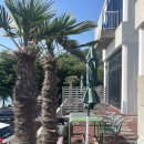 칠월키즈풀빌라 남해선구점 이미지