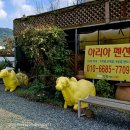 청도아리아펜션 이미지