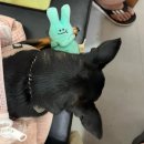 고성군 작은영화관 | [고성가족여행] 고성 금강산콘도 가족여름휴가 보내기
