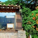 까페능소화 이미지