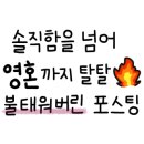 애견동반 밀양테마수영장 이미지