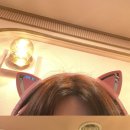 아이센스 블랙라벨 PC존 시흥정왕점 이미지