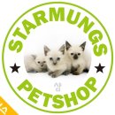 도도애견샵 이미지