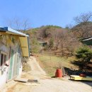 양구 심곡사 목조 아미타삼존불좌상 및 복장유물 이미지