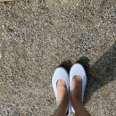 펀한노리터 | [담양] 가볼만 한 곳 한옥 단체 펜션 Fun한노리터, 내돈내산 추천 후기