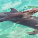 인간존재를 위하여 이미지