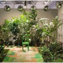 메디플랜트 이미지