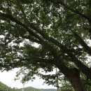 망월경로당 이미지