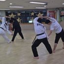 용인대 H 태권도장 이미지