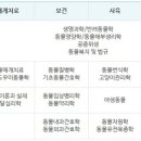 스퀘어독스프렌즈