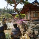 강진민박 이미지