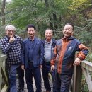 돼지촌식당 이미지