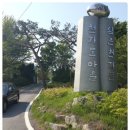 (개인)전정우 Daum카페
