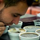 Pacific BUBBLES 이미지