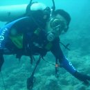 바다 속 이야기 이미지