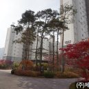 (주)미래포레스트