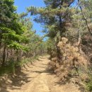 동해어달산봉수대 이미지